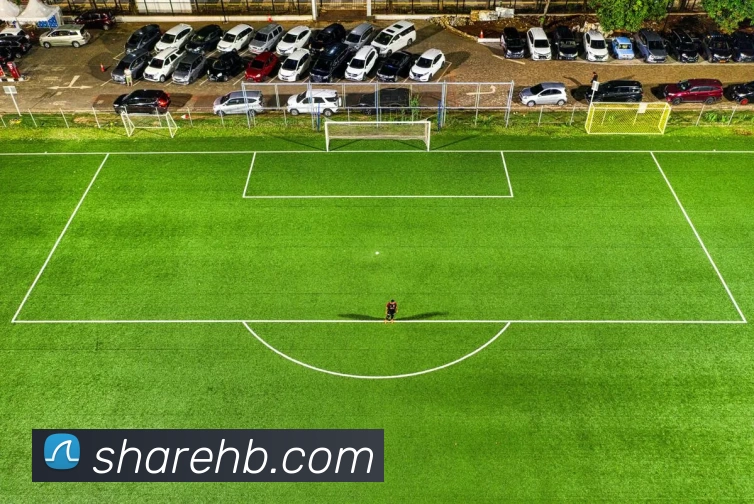 多媒体互动体验